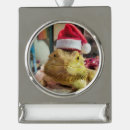 Search for bearded dragon christmas tree decorations Pet