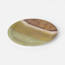 Search for earth tone paper plates Abstract