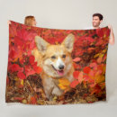 Search for pembroke welsh corgi blankets Animal