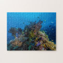 Search for tropical fish puzzles Sea