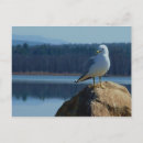Search for champlain postcards Lake
