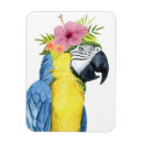 Search for parrot magnets Animals