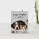 Search for fun cat birthday cards Cute