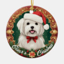 Search for maltese dog christmas tree decorations Puppies