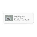 Search for turkey return address labels Wildlife