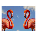 Search for pair posters Birds