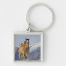 Search for running key rings Equestrian