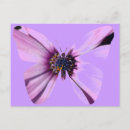 Search for purple wings postcards Flower