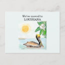 Search for louisiana postcards State flower