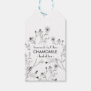 Search for chamomile Illustration