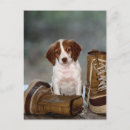 Search for boot postcards Vertical
