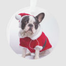 Search for dog costume christmas tree decorations Black