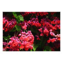 Search for fuschia art Magenta