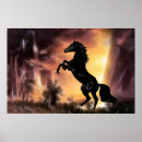 Search for gelding posters Animal
