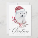 Search for polar bear christmas cards Cute