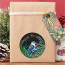 Search for australian bird stickers Kookaburra