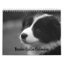 Search for purebreed Cute