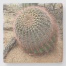 Search for needle coasters Usa