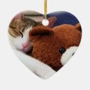Search for sleeping cat christmas tree decorations Pets