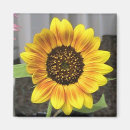 Search for square designs magnets Photography