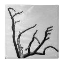 Search for tree bark tiles Outdoors