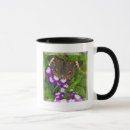 Search for swallowtail mugs Blue