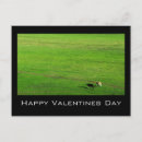 Search for cow valentines day cards Pasture
