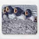 Search for swallow mousepads Outdoors
