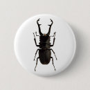 Search for beetles badges Nature