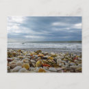 Search for seashells postcards Travel