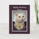 Search for white cat birthday cards Kitty