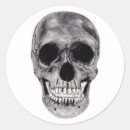 Search for dead head stickers Bones