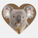 Search for australian animals stickers Cute