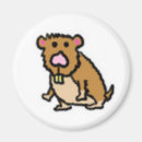 Search for hamsters magnets Rodent