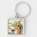 Search for bird key rings Nature