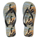 Search for duck jandals Animal
