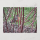 Search for red tree postcards Grass