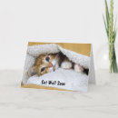Search for get better soon cards Kitten