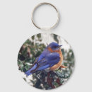 Search for bird house key rings Home