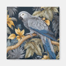 Search for african square magnets Tropical