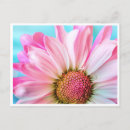 Search for delight postcards Blue