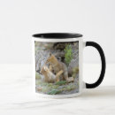 Search for grey fox mugs Animal