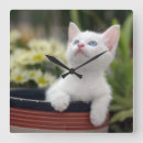 Search for photo nursery clocks Kitten