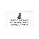 Search for kitten labels Cat mom