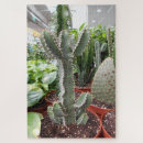 Search for cactus puzzles Plants