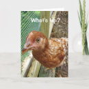 Search for funny butt cards Friends