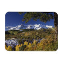 Search for fallcolors Rocky mountains