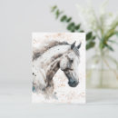Search for white stallion cards Horse