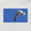 Search for flight business cards Blue