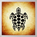 Search for cute tortoise Brown